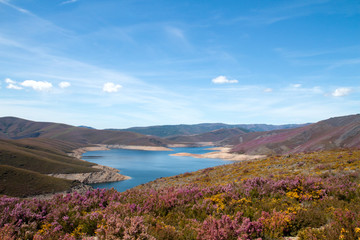 Obraz premium Springtime landscape