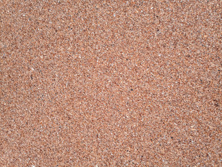 background is the texture of the sea sand on the beach. Sand shell.