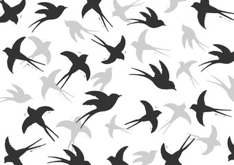 Set of illustrations with a picture of swallows.