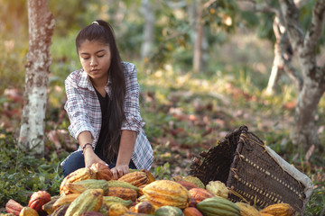 portrait of girl sheling cocoa in harvest