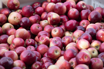 Apples