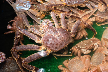Alaska Crab In A Tank