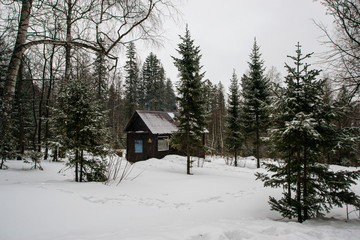 snow-covered forest, Christmas trees in their white fur coats and a bath made of logs stands as if in a fairy tale