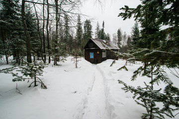 snow-covered forest, Christmas trees in their white fur coats and a bath made of logs stands as if in a fairy tale