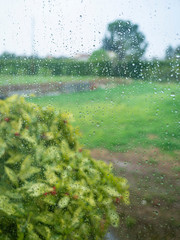 Landscape look from a wet glass
