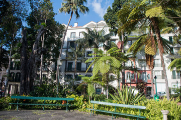 PORTUGAL MADEIRA FUNCHAL JARDIM MUNICIPAL