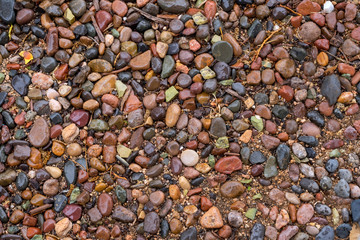 Colorful wet river rocks on a sandy ground