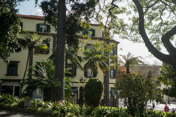 PORTUGAL MADEIRA FUNCHAL AVENIDA ARRIAGA