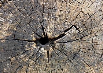 old wood texture background