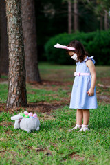 Little toddler girl with bunny ears and surgical face mask hunting for Easter eggs during coronavirus quarantine - 337056681