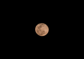 Luna  © Ricardo