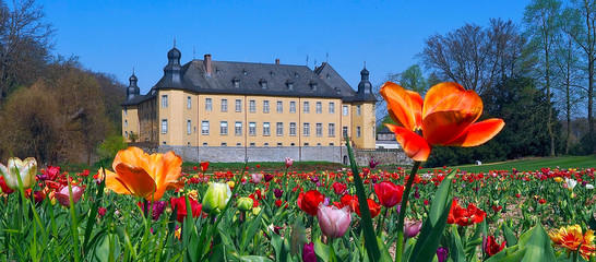 Fototapeta na wymiar Castle of Schloss Dck in Juechen in spring