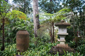 Obraz premium PORTUGAL MADEIRA FUNCHAL JARDIM TROPICAL