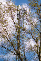 Base station mobile network telecommunication tower of 4G and 5G cellular network antenna between trees. Wireless communication antenna transmitter mast. 