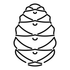Christmas pine cone icon. Outline christmas pine cone vector icon for web design isolated on white background