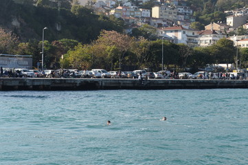 Obraz premium Men swim in the Bosphorus Strait near the embankment of Istanbul