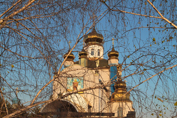 Church behind birch branches against the blue sky