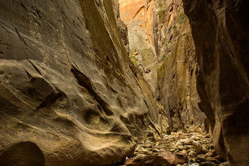 Zion Park Landscapes