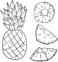Contour vector illustration with pineapple and slices on white background. Good for printing. Coloring book ideas. Postcard and logo elements. Isolated set.