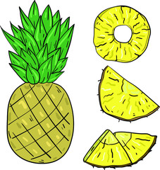 Color vector illustration with pineapple and slices on white background. Good for printing. Coloring book ideas. Postcard and logo elements. Isolated set with tropical fruits.