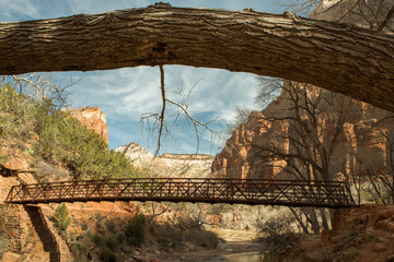 Zion Foot Bridge