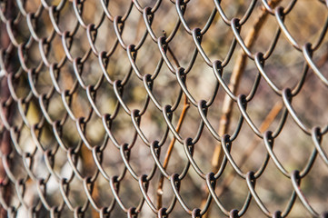 Fototapeta premium metal wire fence in the garden 