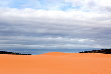 Fototapeta na wymiar Coral Pink Sand Dunes