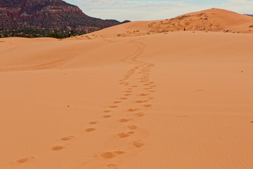Coral Pink Sand Dunes