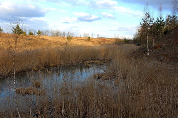 A unique image of the spring nature of central Russia in April
