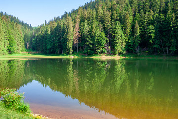 Fototapeta na wymiar lake summer landscape. beautiful scenery among the forest in mountains
