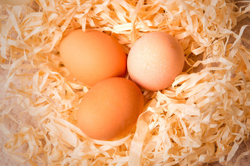 Jajka w gnieździe