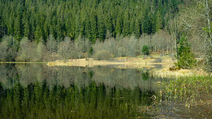 Schwarzwald Landschaft - Spiegelung des Waldes im wunderschönen Sankenbachsee ( Karsee )in Baiersbronn