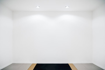 White Room with ceiling light from panel bulbs.