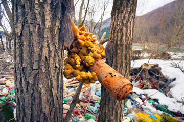Flood spring abandoned the balloon with foam on the tree