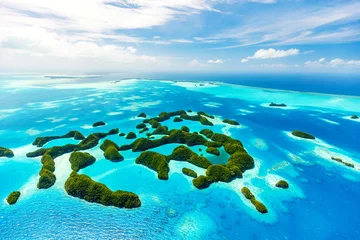 Papier Peint photo Turquoise Palau islands from above