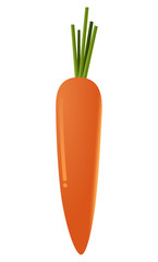 Cute cartoon carrot vegetables vector isolated on white background