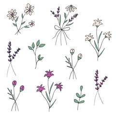 Set of cute colored vector flowers and plants in doodle style. Lavender. Provence. Chamomile. Isolated elements for a decor on a white background.