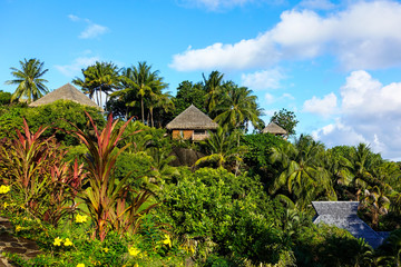 Fototapeta na wymiar Tropical Resort with Palm Trees in Bora Bora French Polynesia