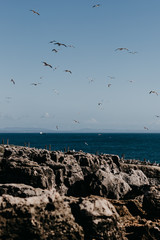 Cascais. Portugal