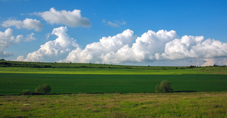 Green agricultural field in rural on  blue sky and clouds background