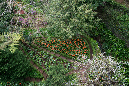 PORTUGAL MADEIRA MONTE  PARK