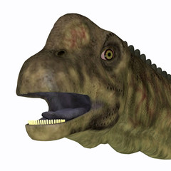 Uberabatitan Dinosaur Head - Uberabatitan was a herbivorous sauropod dinosaur that lived in Brazil during the Cretaceous Period. © Catmando