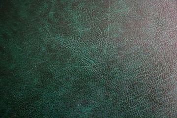 Green leather texture with a touch of white and glare