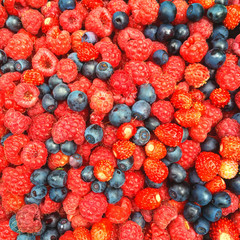 Background from raspberries, strawberries and blueberries close-up. View from above. Place for an inscription, poster.