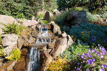 Water rock garden nature scenic with ferns, evergreen trees, daisy and campanula flowers in this tranquil garden setting.