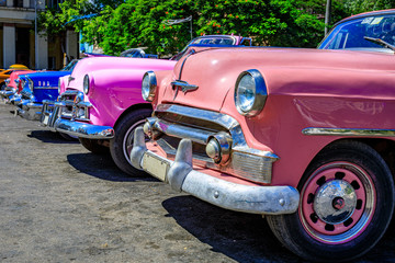 Havan Cuba Colorful pink group of classic oldtimer american cars an iconic sight.