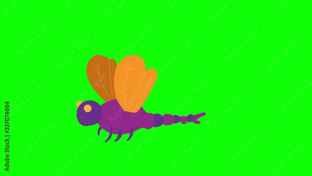 Poster dragonfly hand drawn green screen. floating loop animation