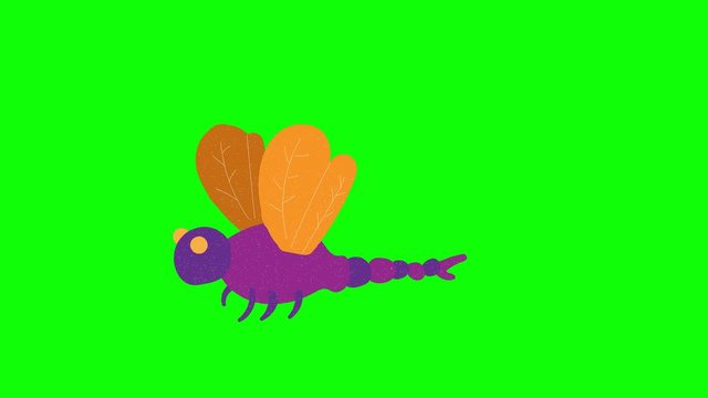 dragonfly hand drawn green screen. floating loop animation
