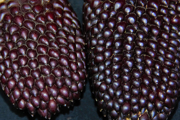 black corn on a dark background

