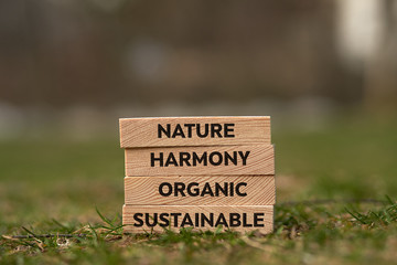 Wooden blocks with words written on them. Can be used for yoga, mindfulness, nature topics and concepts.